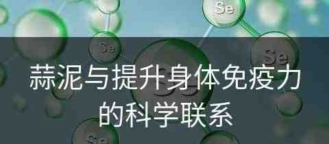 蒜泥与提升身体免疫力的科学联系